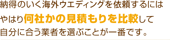 納得のいく海外ウエディングを依頼するにはやはり何社かの見積もりを比較して自分に合う業者を選ぶことが一番です。